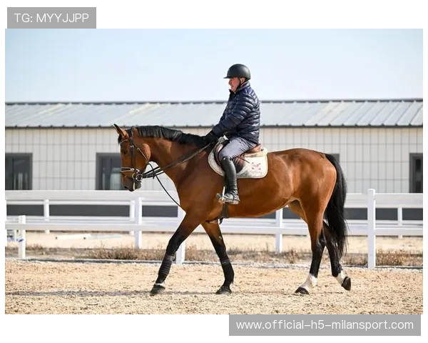 马术场地障碍训练更具针对性，骑手掌控能力提升